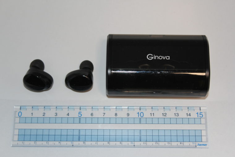 Ginova T8の実寸